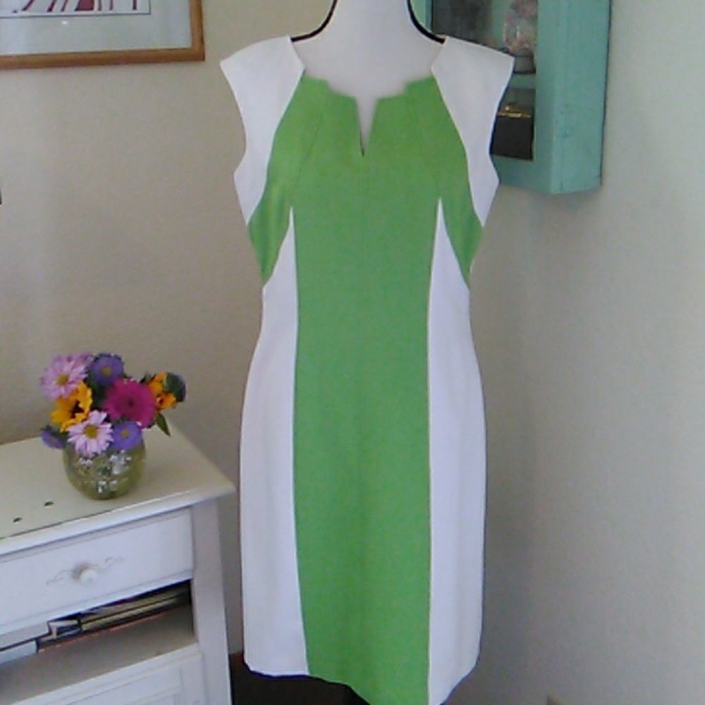 Ellen Tracy Beautifully Seamed Colorblock Dress